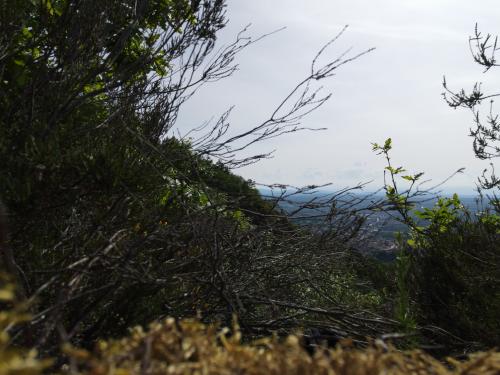 Thiers [14-05-2022](0717).jpg